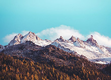 LEYU平台：重新定义企业增长与学习的数字化引擎