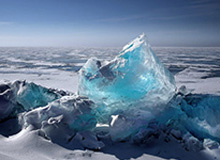 LEYU平台：重新定义企业增长与学习的数字化引擎